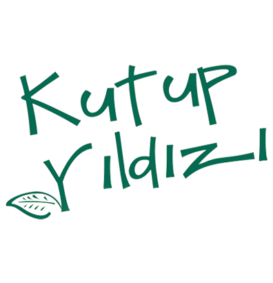 Kutup Yıldızı Logo